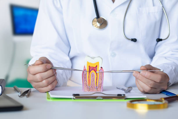 Best Emergency Denture Repair in Riverton, UT